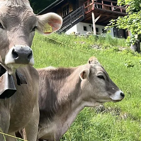 Armis Tiny House Сasa de vacaciones Valzeina